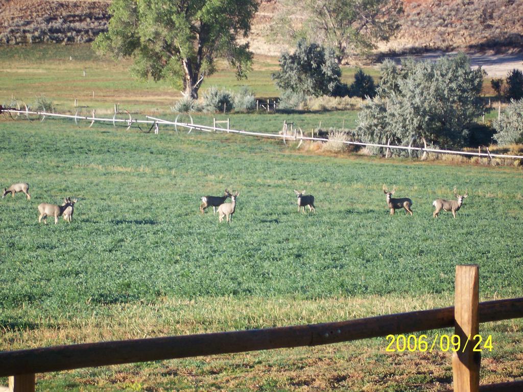 מלון קודי K3 Guest Ranch מראה חיצוני תמונה